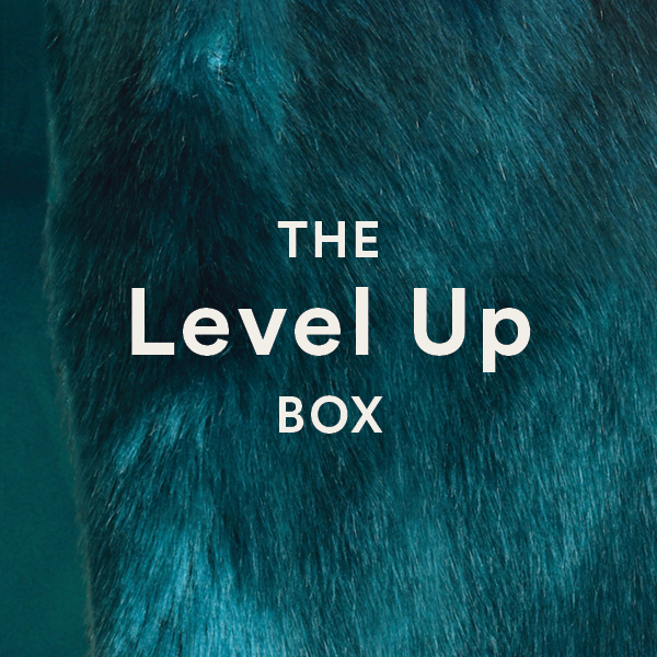 The Level Up Box