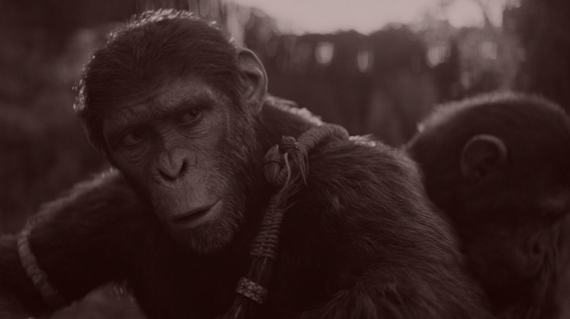 Disney’s Play for Fox Redemption