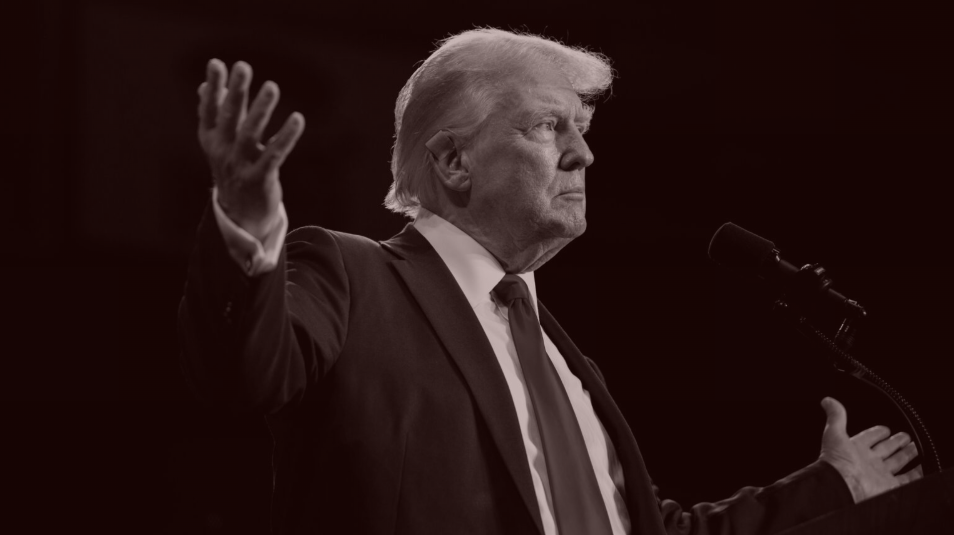 Wall Street Bets on Trump 2.0