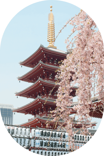 Experience Kyoto At Home  TAEAR AR 