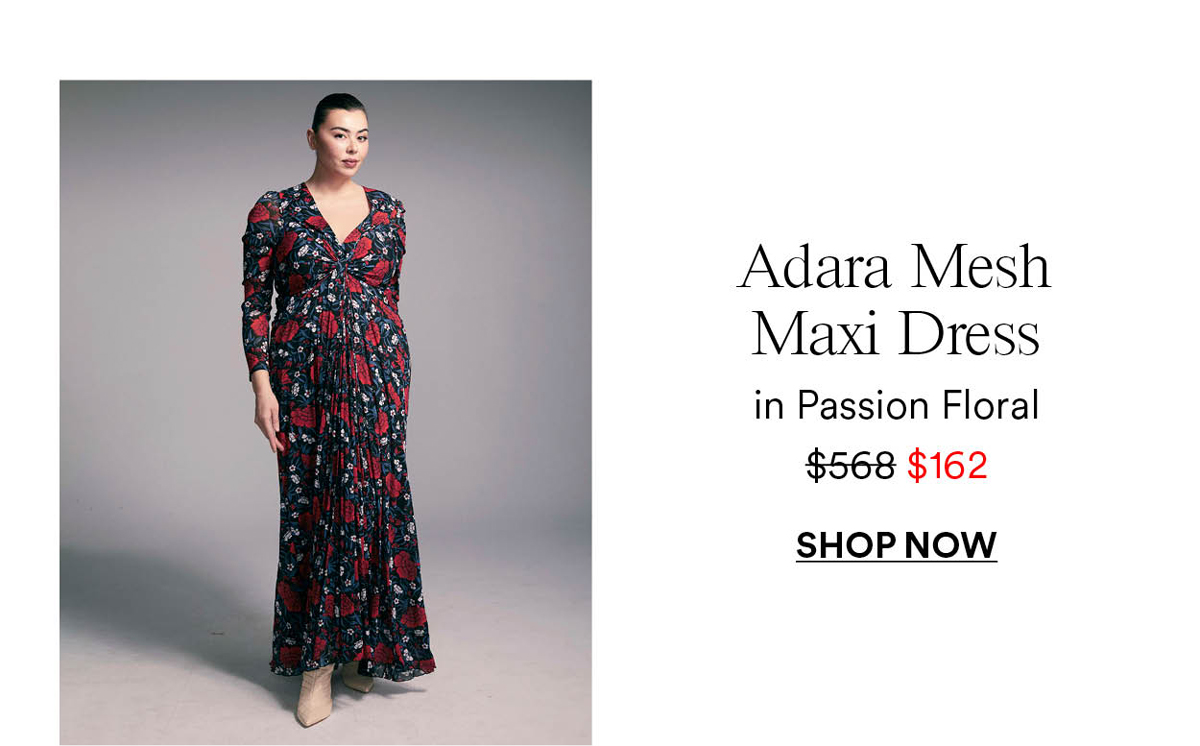 Adara Mesh Maxi Dress in Passion Floral