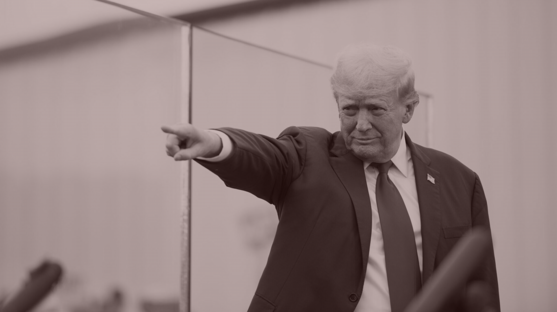 Trump Microtargeting & Kamala Mysteries