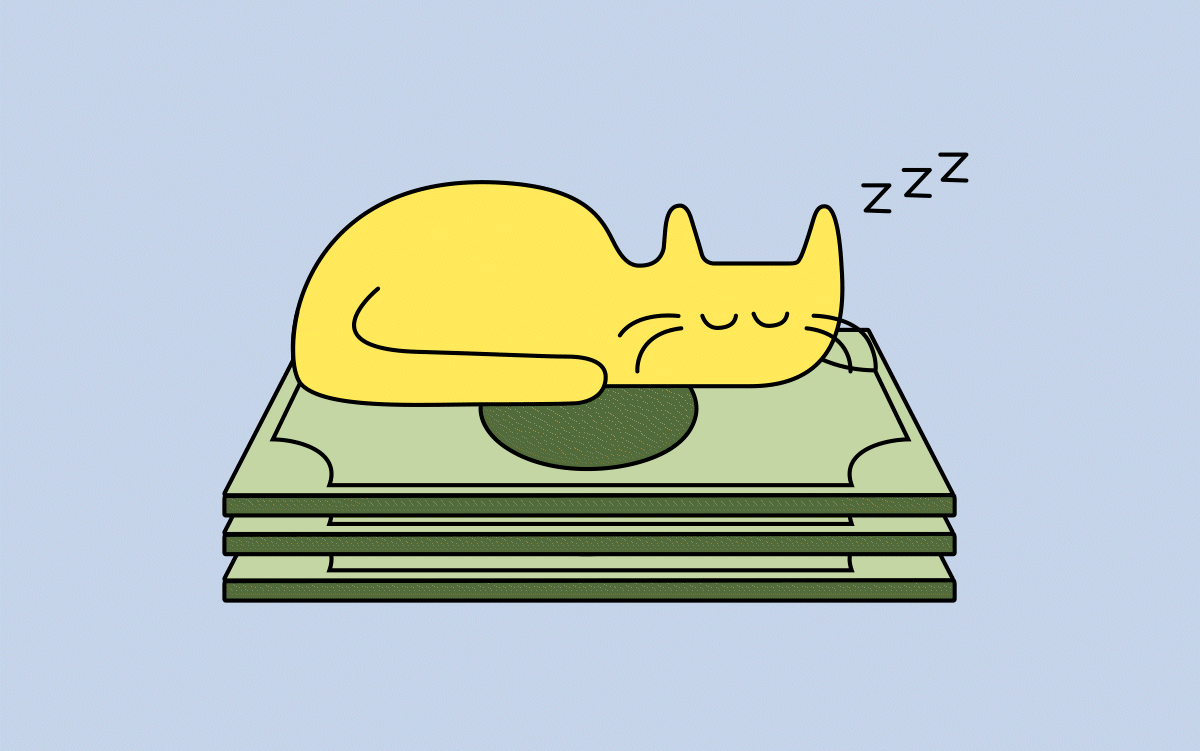 Sleeping cat